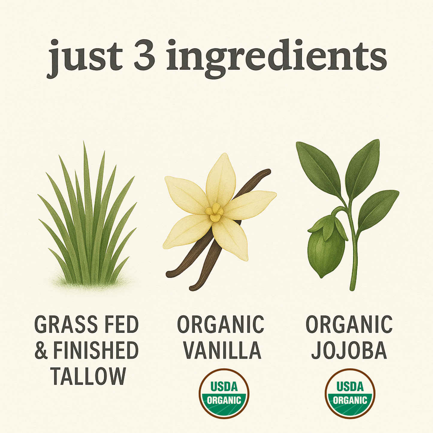 Infographic showing the three ingredients in an organic tallow face moisturizer: grass-fed and finished tallow, USDA organic vanilla, and USDA organic jojoba oil, with illustrated icons for each